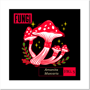 FUNGI Fig 3 Posters and Art